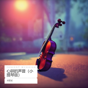 乌鸦怎与你相配(小提琴版) 伴奏版