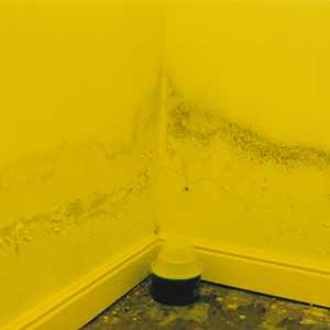 She's in the Middle of the Devil's Wave (the unspoken third verse)