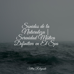 Deja Que Todo Se Vaya