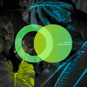 Northern Sun (Original Mix)