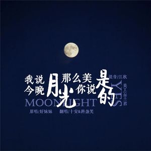 我说今晚月光那么美，你说是的