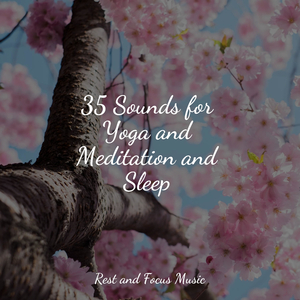 Concerning Relaxation