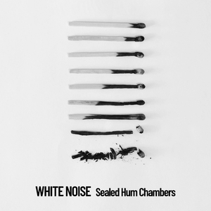 Chamber of White Noise