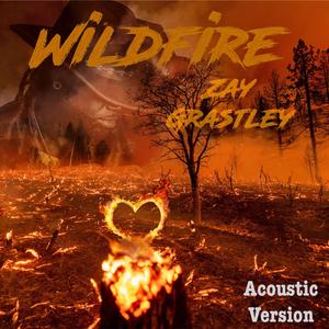 Wildfire (Acoustic version)
