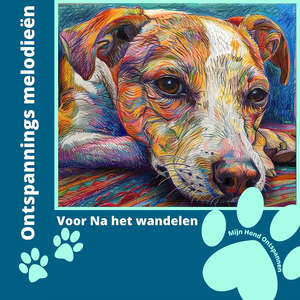 Ontspannings melodieën