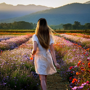 Sonidos Suaves Para La Calma Cotidiana