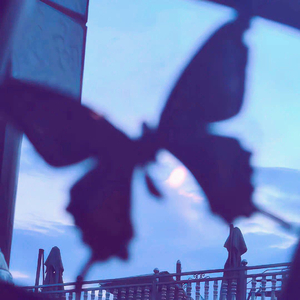 蝴蝶劫.（prod.by Morrow)