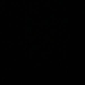 The 3 stooges (feat. Aurixc & Bigg_Sy)