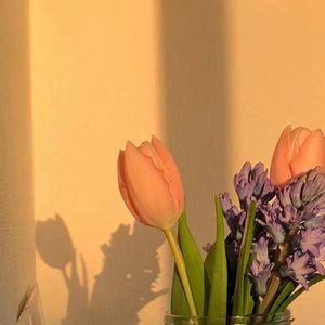 Fly (OutaMatic Remix)(×0.8)