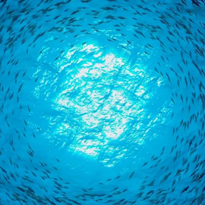 你的名字是我默念的咒part1