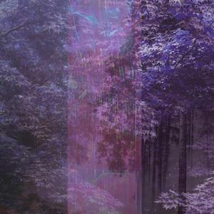 Where are we (feat. Kanashi)