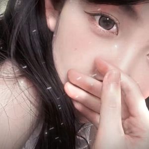 白鸽乌鸦（抖音热门版）