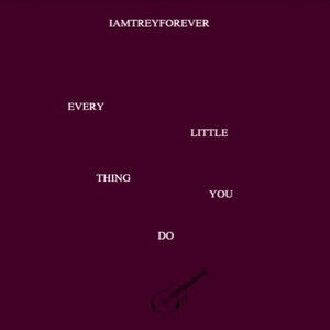 Every Little Thing You Do