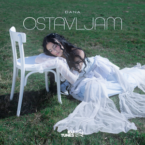 Ostavljam