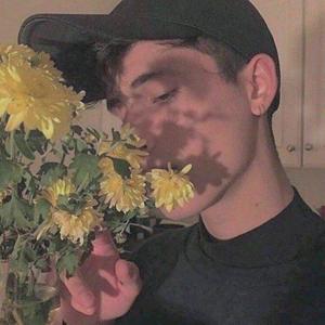 关于孤独我想说的话（翻唱）