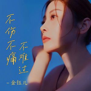 不伤不痛不难过（DJ豪大大版伴奏）