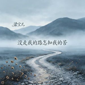 没走我的路怎知我的苦