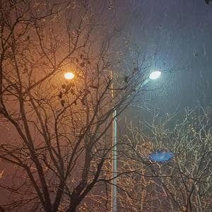 濮阳下了雪，你说那是胡辣汤