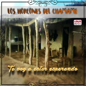 Enredado a el Acordeón