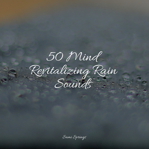 Small Lake, Morning, Water Ripple