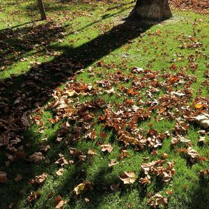 《多想再次回到从前》词曲唱 赵鑫