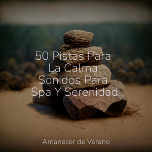 Ascenso de Reverberaciones Cromáticas