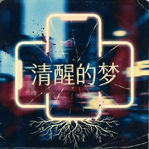 清醒的梦