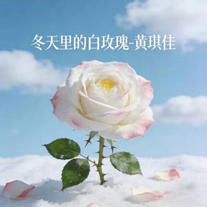 冬天里的白玫瑰 (DJ涵哈版)
