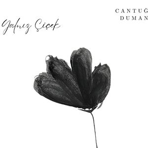 Bu Güzelliği Görmelisin