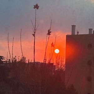 旋律/小清新/自由 --旋律伴奏
