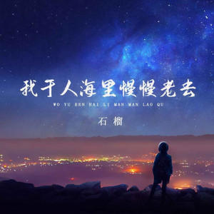 我于人海里慢慢老去 (dj阿奇版)