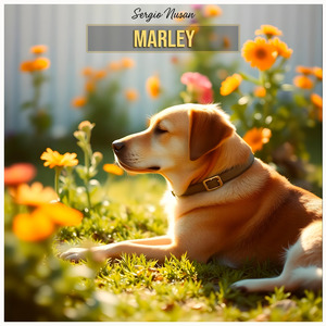 Marley
