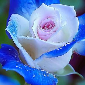 It Started Out So Beautifully