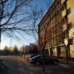 再见了最爱的人