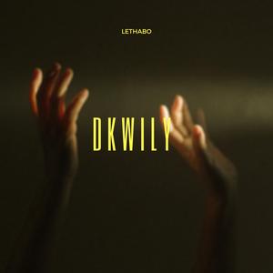 DKWILY