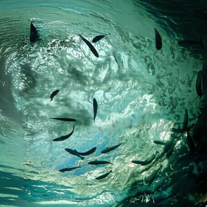 释怀・溪声润心（Let Go・Stream Sound Soothing Heart）.wav