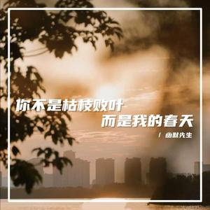 你不是枯枝败叶而是我的春天（0.8x）