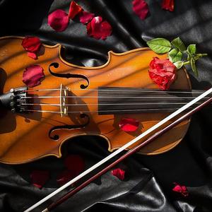 One lifelong love (When the strings weep, the rose fades)