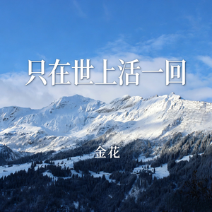 只在世上活一回