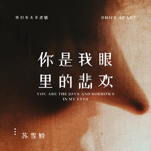 你是我眼里的悲欢（伴奏）