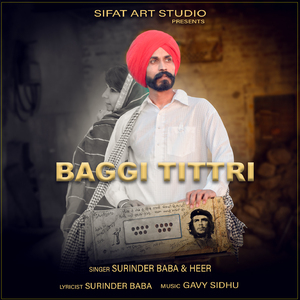 Baggi Tittri