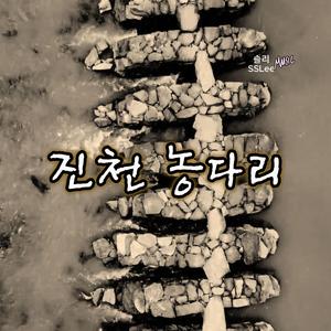 진천 농다리