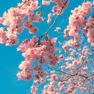 Ill never be the same again