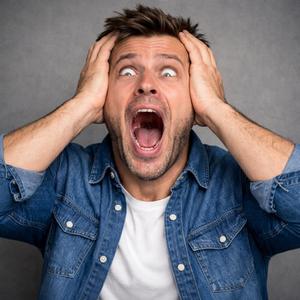 Oh my Geese!! なんてこった！パンナコッタ！