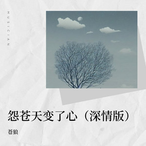 怨苍天变了心 (深情版伴奏)