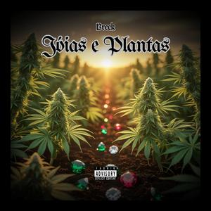 Jóias e Plantas