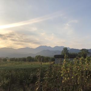 如果知道这是最后一眼