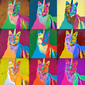 Warn My School (Alternate Take)