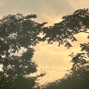 多情种（弹唱版）