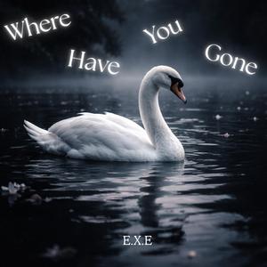 Where Have You Gone